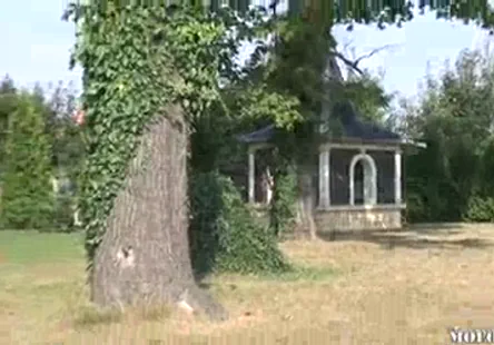 La hauteur du son est plus ou moins élevée selon .