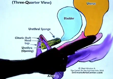 Dirty milf milfs craignent les godes géants, fessant les culs avec leurs énormes strap-ons hardcore