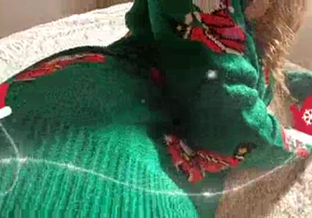 Une fille cochonne se fait enculer par une grosse bite.