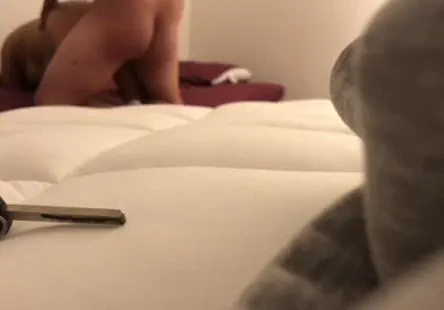 Irrésistible pussylicker satisfaisant