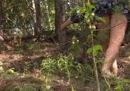 Casondra starseed fuck 2013 - cette année-là, elle avait un beau cul et elle adorait se faire baiser par tous les hommes qui voulaient delle