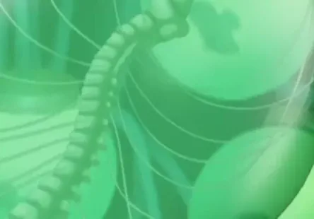 Fisting et baiser mon fleshlight avec mon vibrateur.