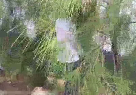 Du sperme dans ma chatte.